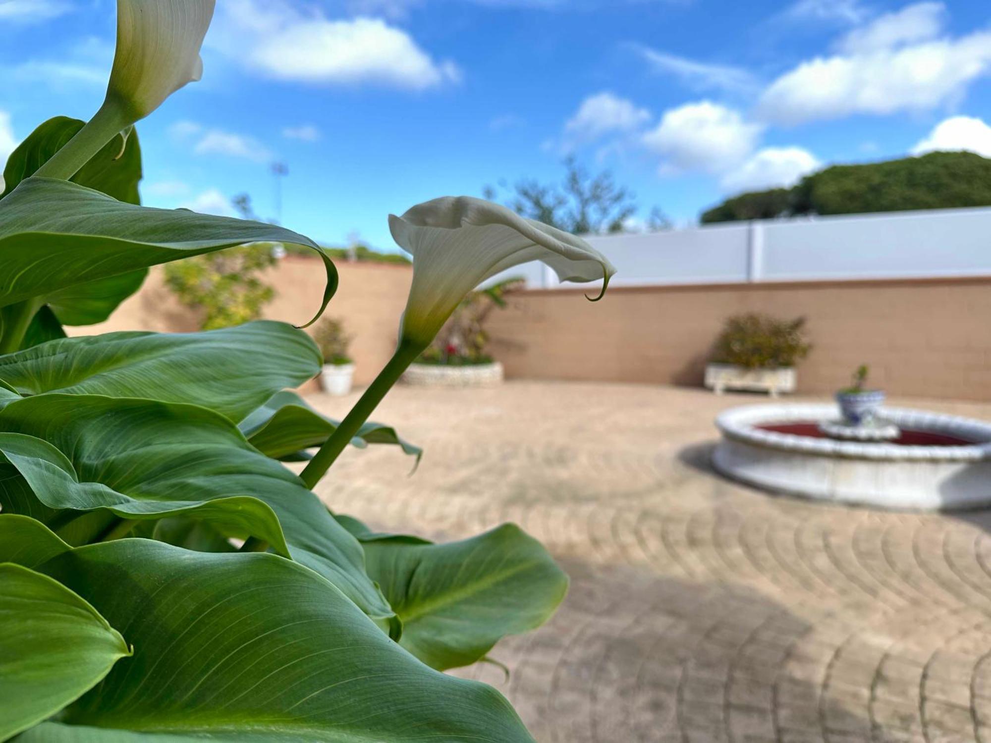 Chalet Aguacate Chiclana de la Frontera Ngoại thất bức ảnh