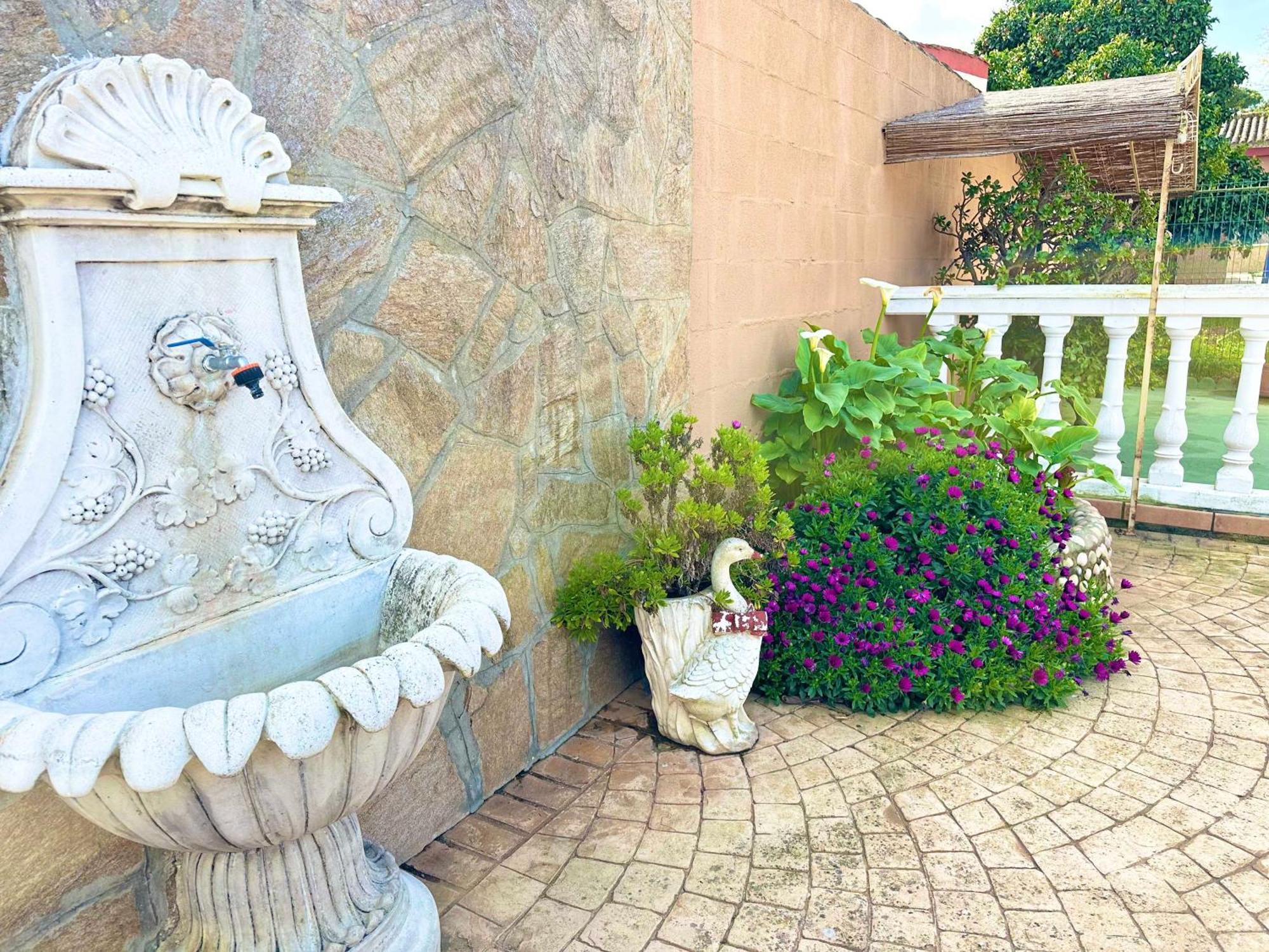 Chalet Aguacate Chiclana de la Frontera Ngoại thất bức ảnh
