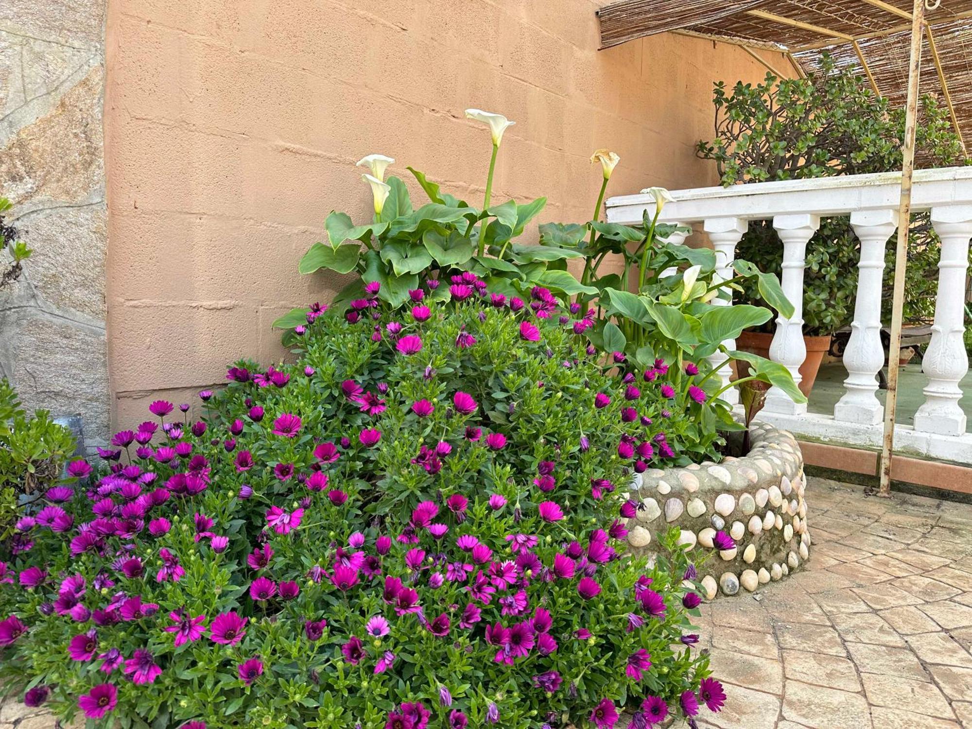 Chalet Aguacate Chiclana de la Frontera Ngoại thất bức ảnh